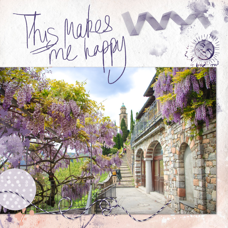 240421_Morcote Wisteria