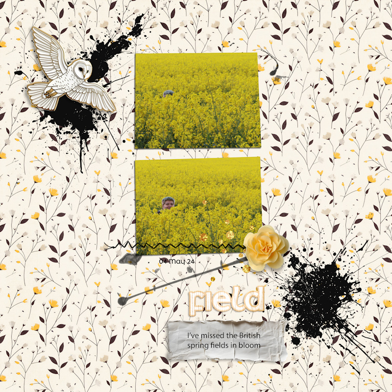 240504_Mil Field
