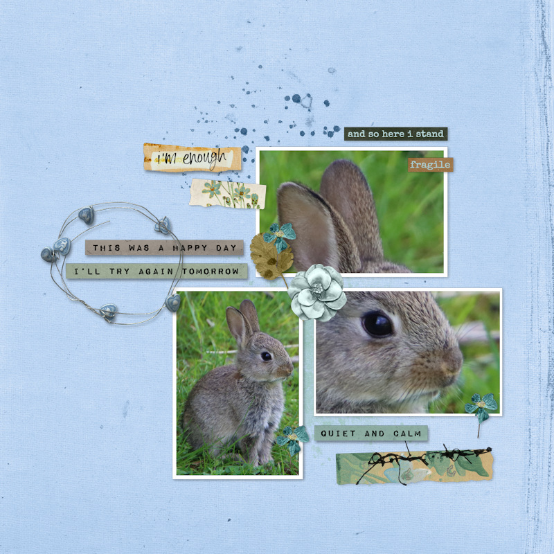 240507_bunny