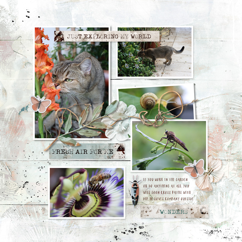 240712_Pip Garden