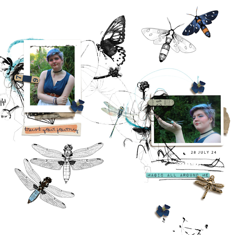 240728_dragonfly