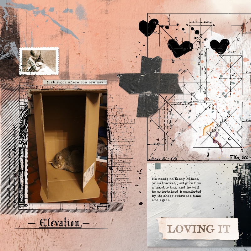 240903_Pip Box