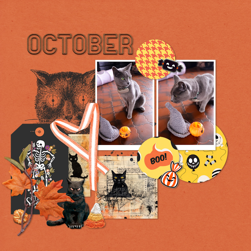 241009_F Pumpkin