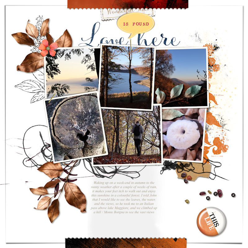 241102_autumn Views