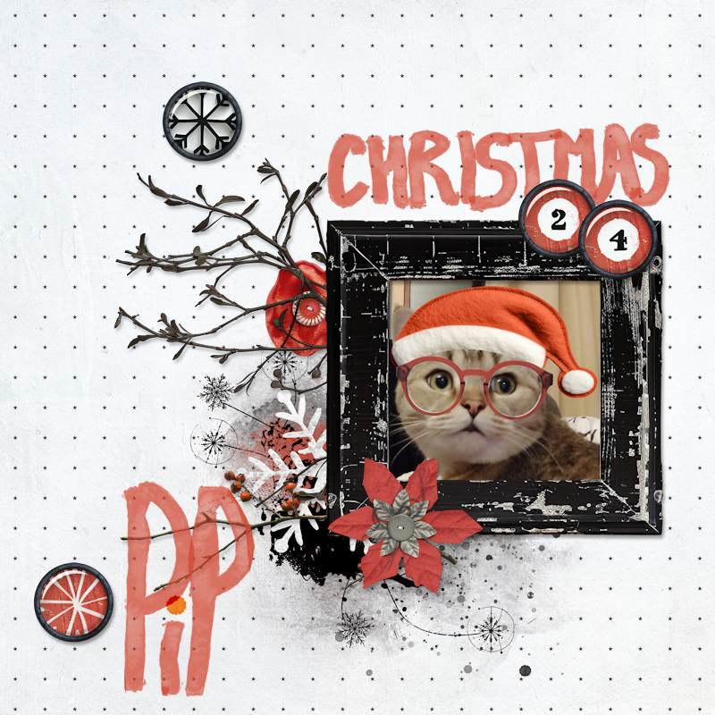 241103_pippin