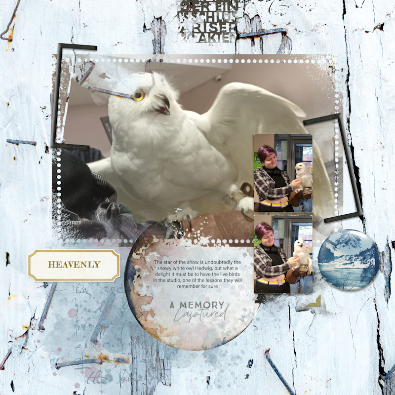 241106_owl Mil