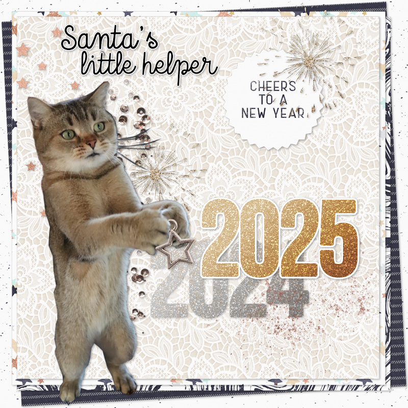 241213_Pip 24-25
