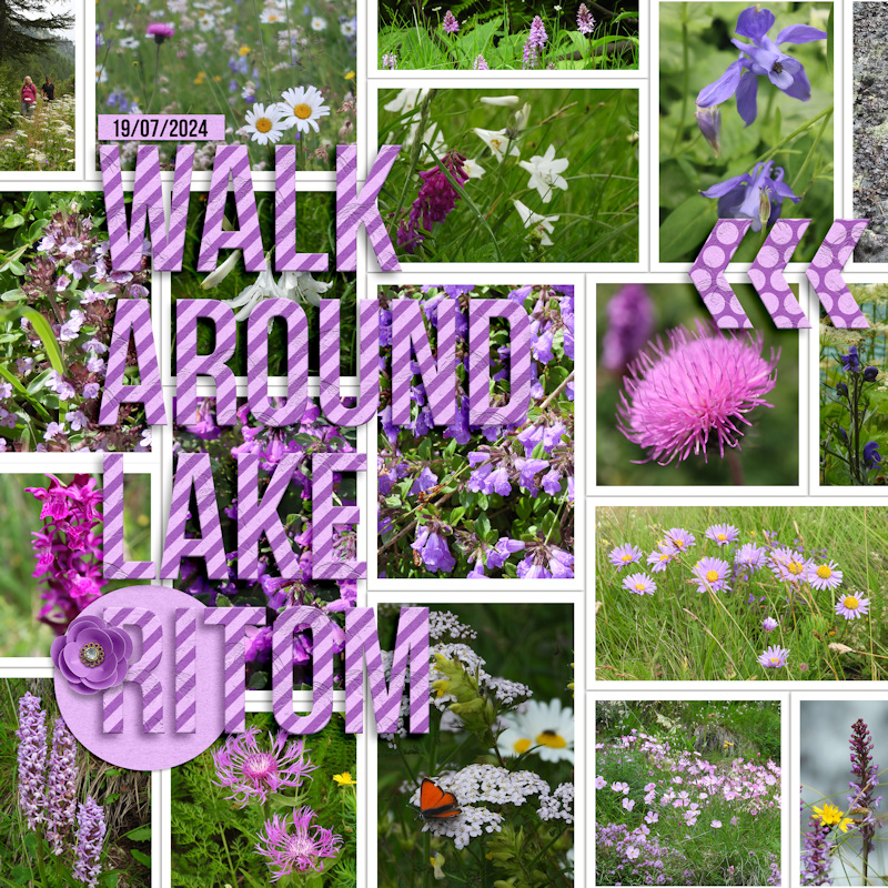 249719_ritom Purple