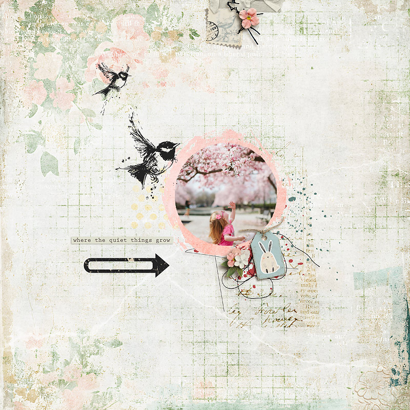 25-05_joycepaul-petal_pawprints