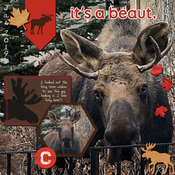 25-Bullwinkle