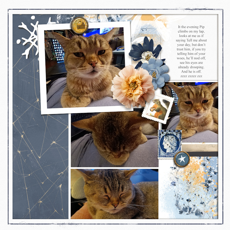 250109_Pip Lap