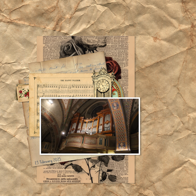 250223_organ