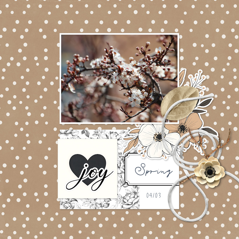 250304_spring