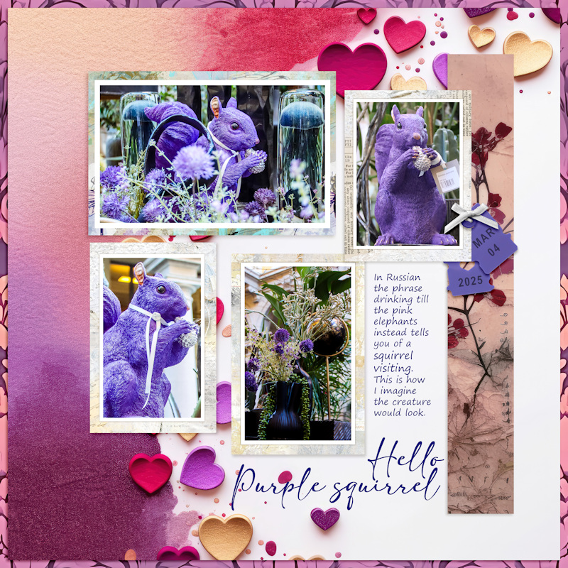 250304_squirrel