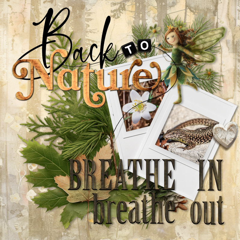 250308_breathe