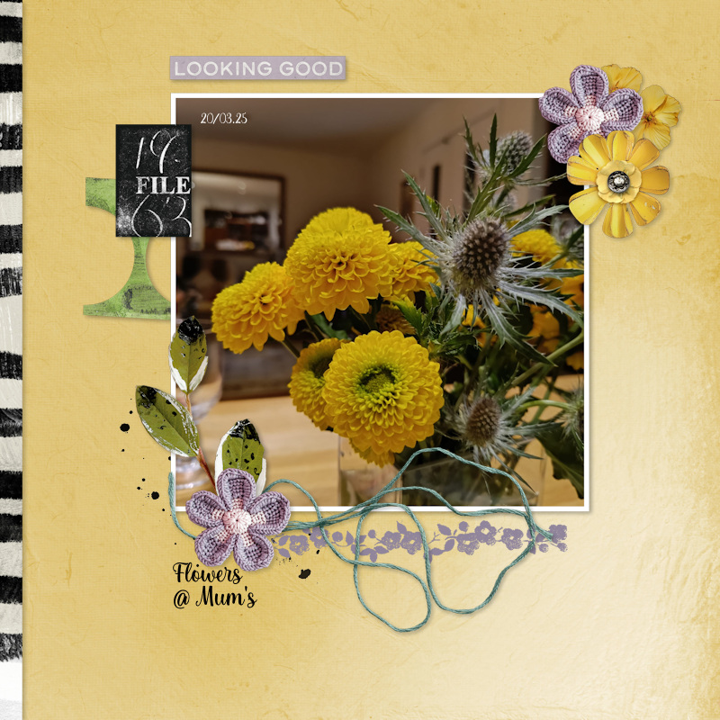 250320_flowers