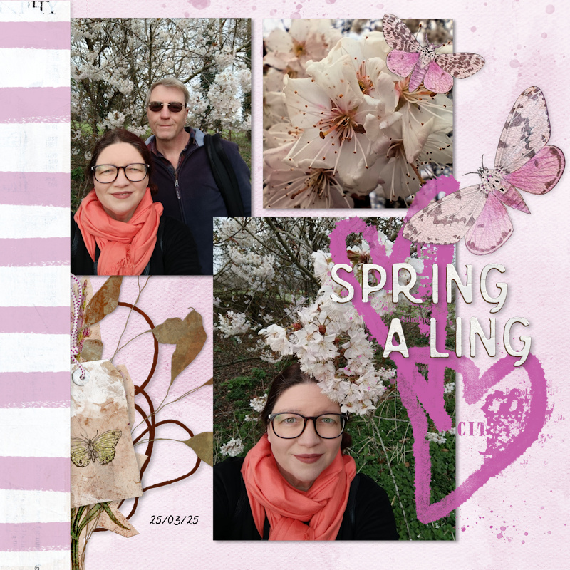 250325_us Blossom