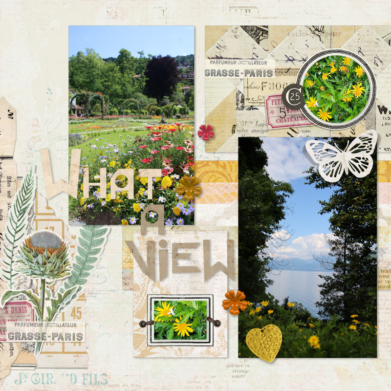 250510_view