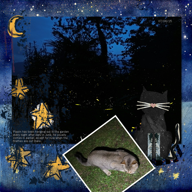 250607_cat Fireflies