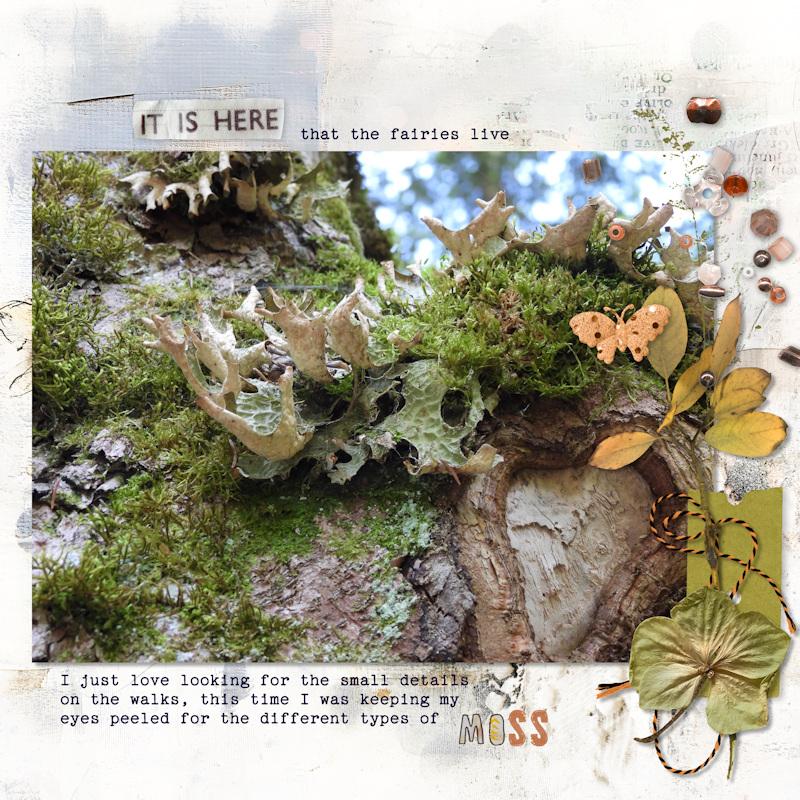 250611_moss
