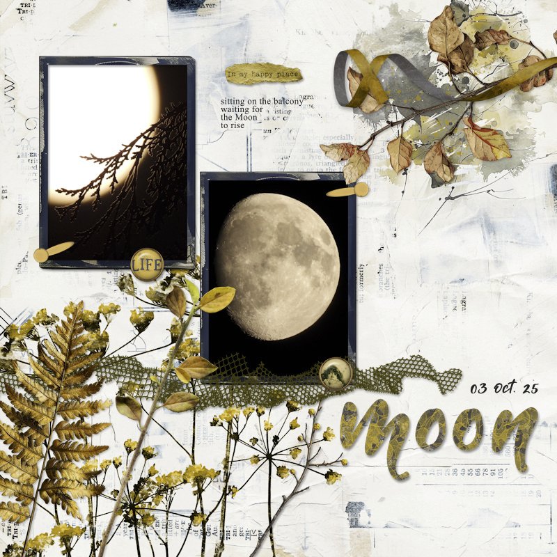 251003_moon.jpg