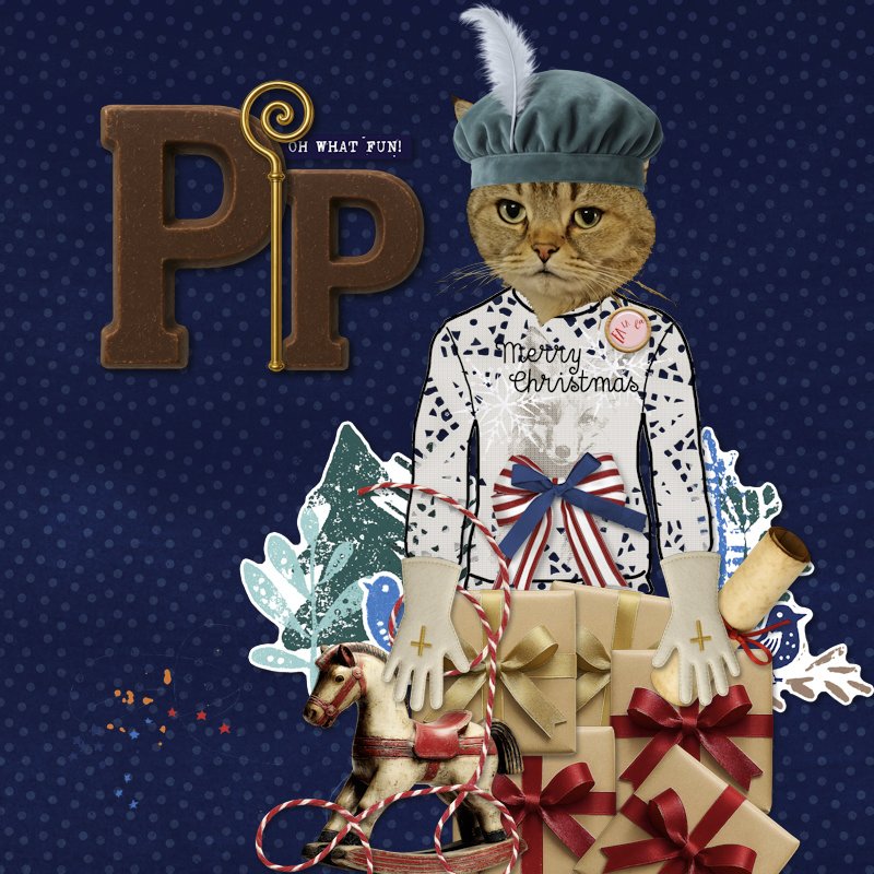 251104_Pip.jpg