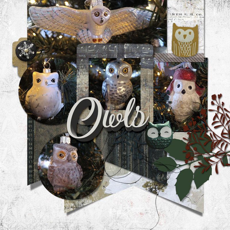 251202_owl.jpg