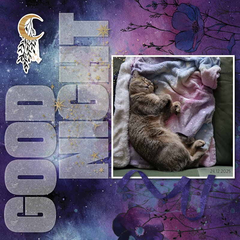 251224_pip nap.jpg