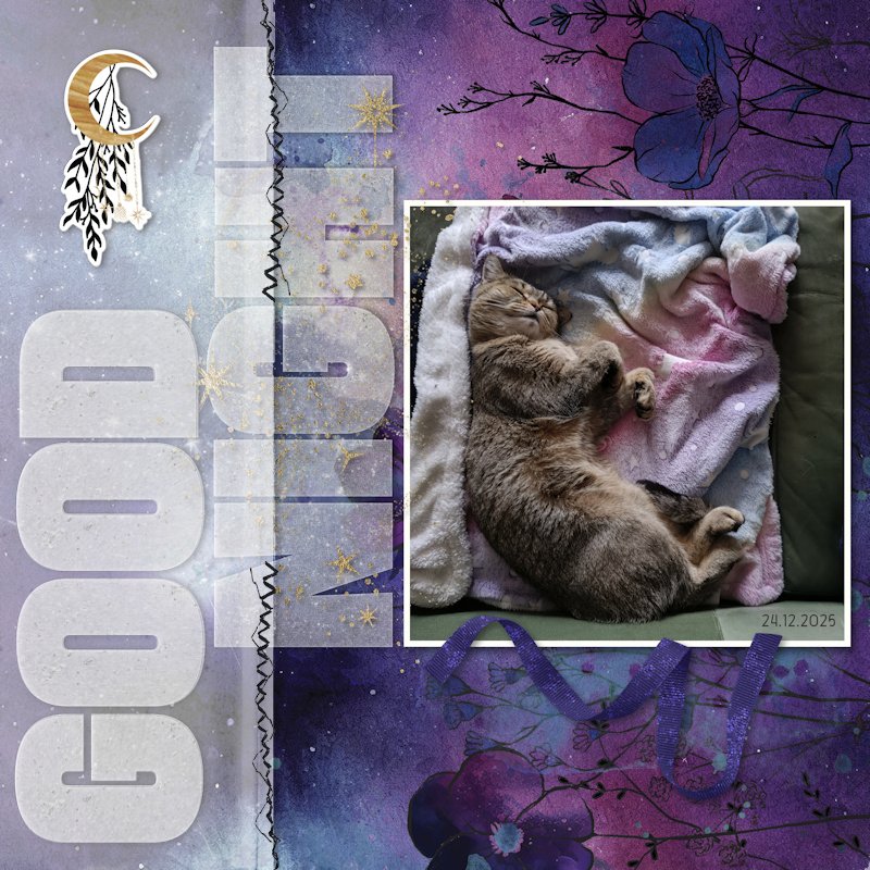 251224_pip nap.jpg