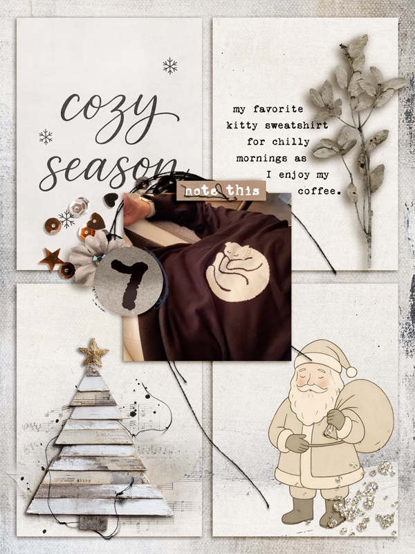 2512DYD07-copy.jpg
