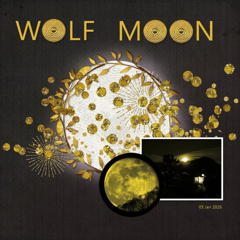 260103_wolf moon.jpg