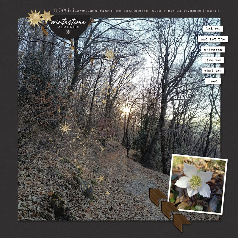 260104_woods.jpg
