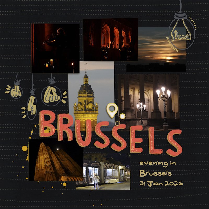 260131_Bruss night.jpg