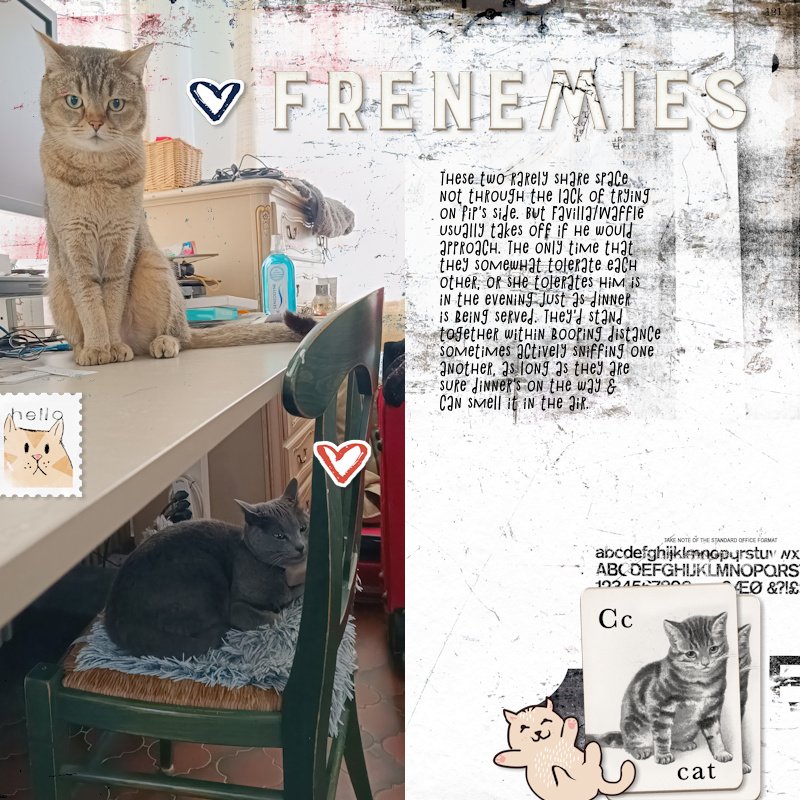 260203_frenemies.jpg