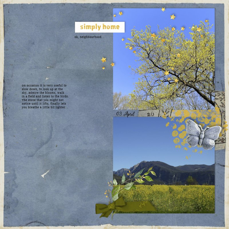 260403_field.jpg