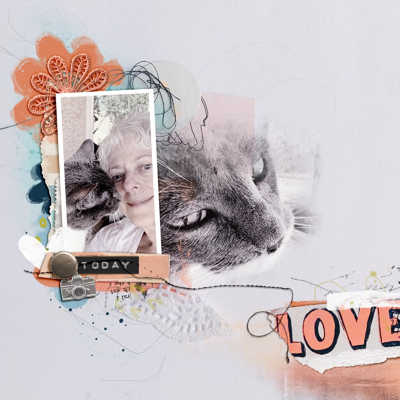 2605-Temp-KittyLove-copy.jpg