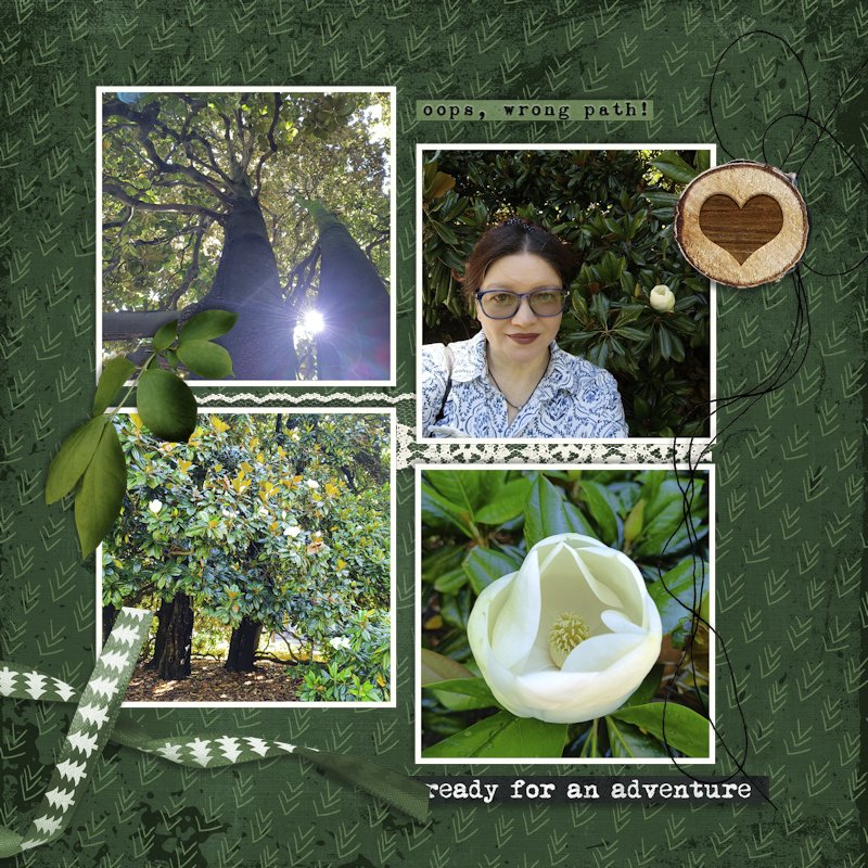 260605_magnolia.jpg