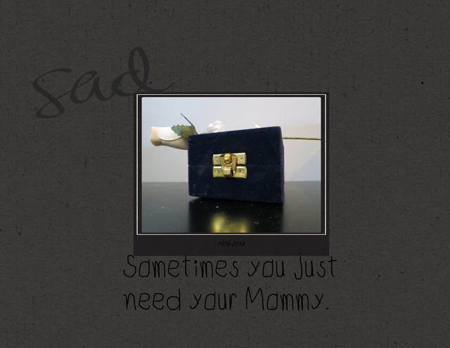 27.-Sad