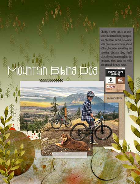 28-CombineTwoTemplates_MtBikeDog