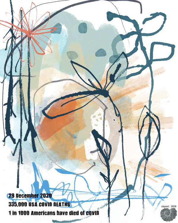 29 December 2020