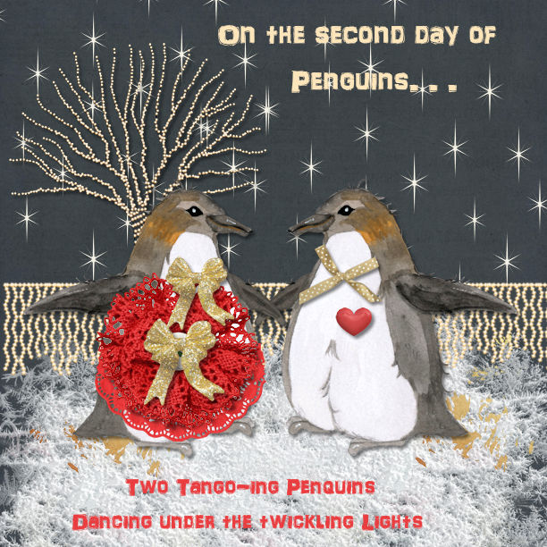 2nd Day of  Penguins