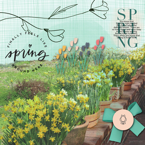 3-10paislee-Press_spring