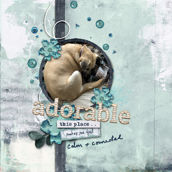 3-11fdd_adorable