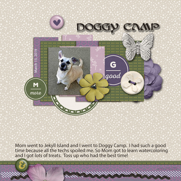 3-13sgleason_doggycamp