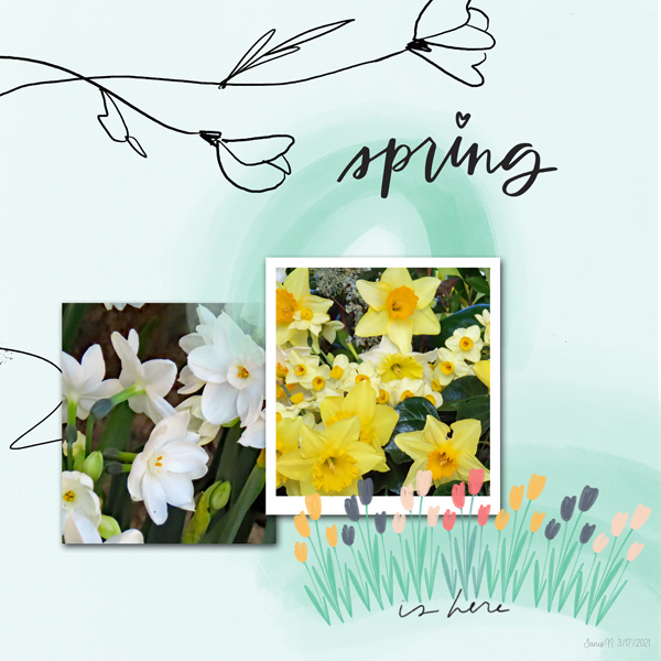 3-17PaisleePress_spring