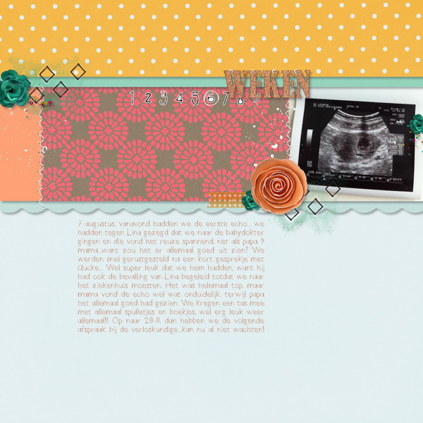 3- 1st ultrasound