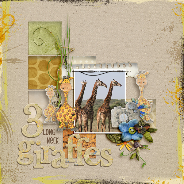 3 Long Neck Giraffes