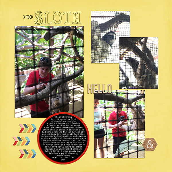 3 Toed Sloth