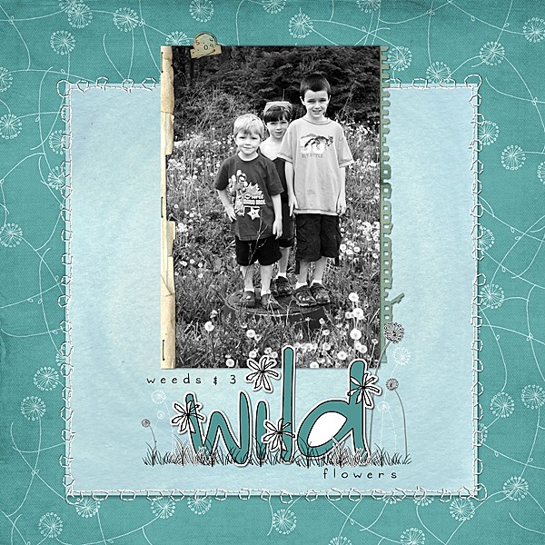 3 Wild Flowers