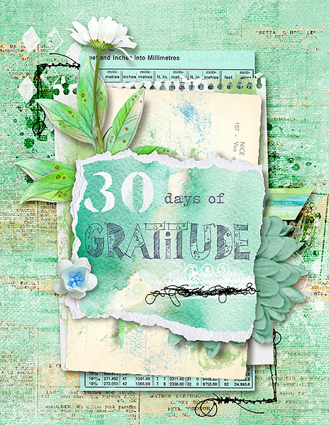 30 days of gratitude cover